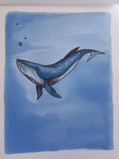 Illustrations: Oh whale