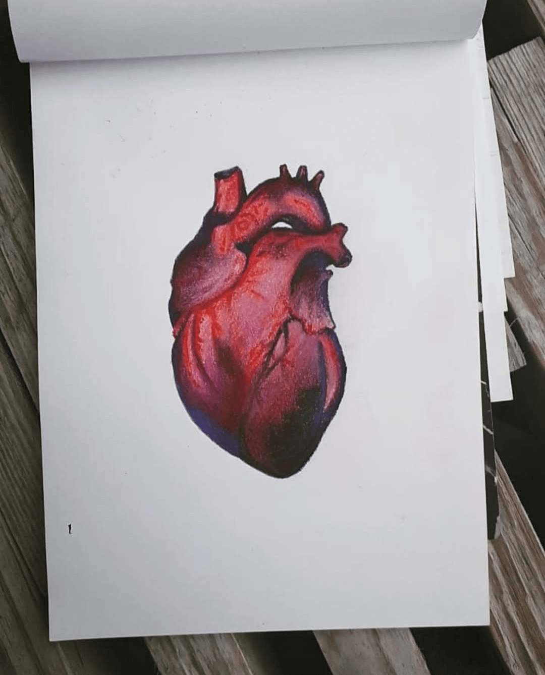Illustrations: Oh my heart